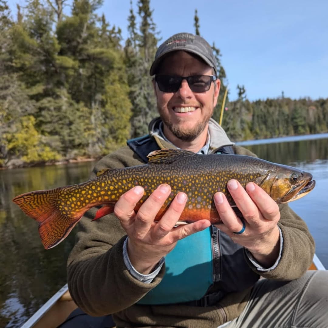 macro shot of honey being poured from a spoon, showing thick, continuous stream versus a thin, broken stream, side by side comparison.