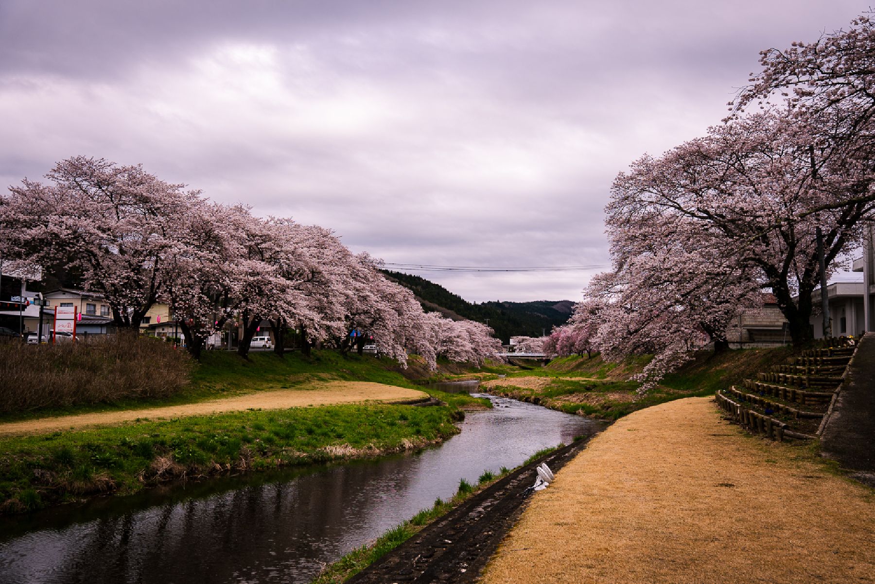 taste test with a small spoon of honey, person tasting and showing clear preference, focus on reaction to taste.
