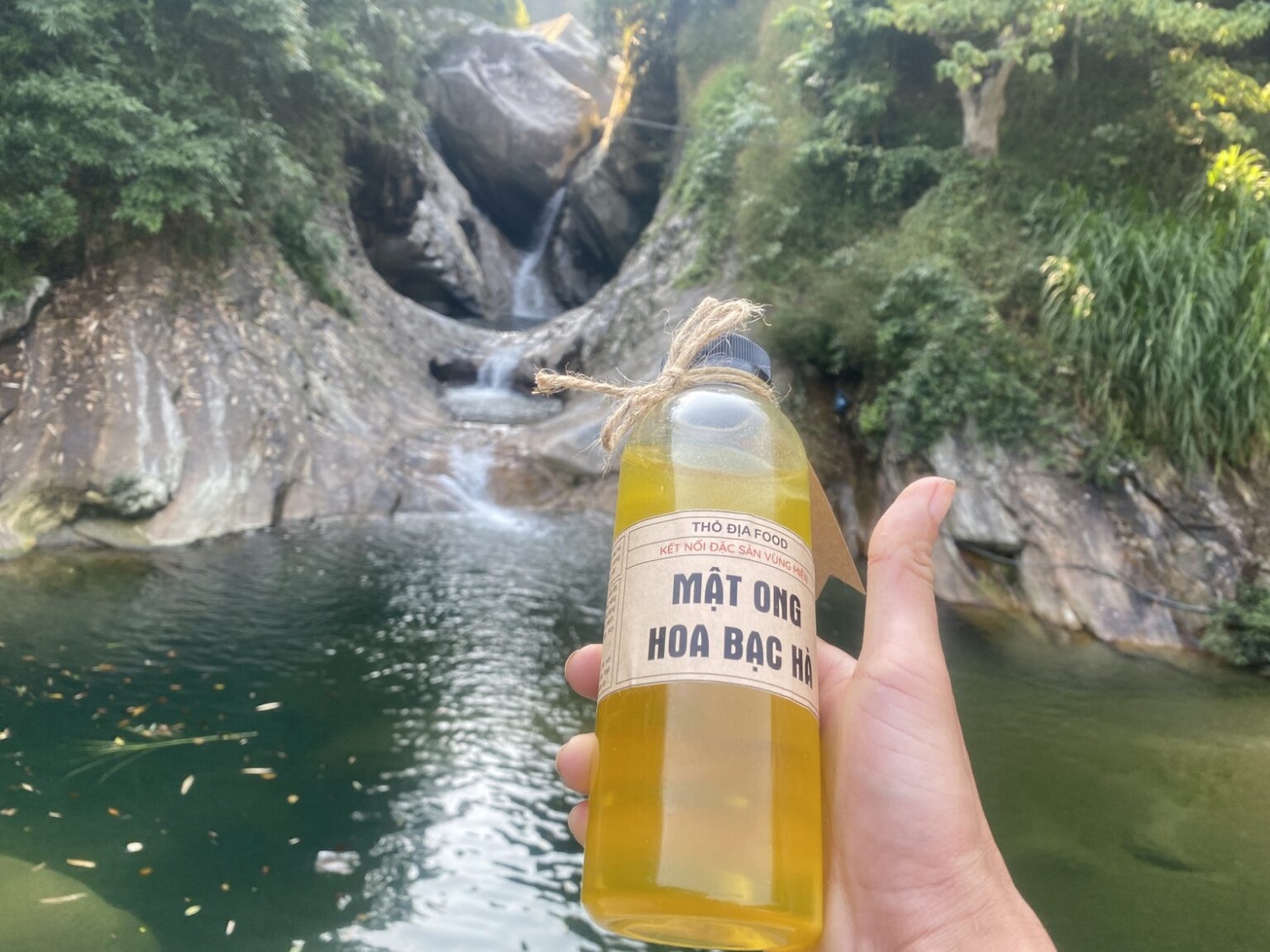 mật ong bạc hà Hà Giang hương thơm the mát