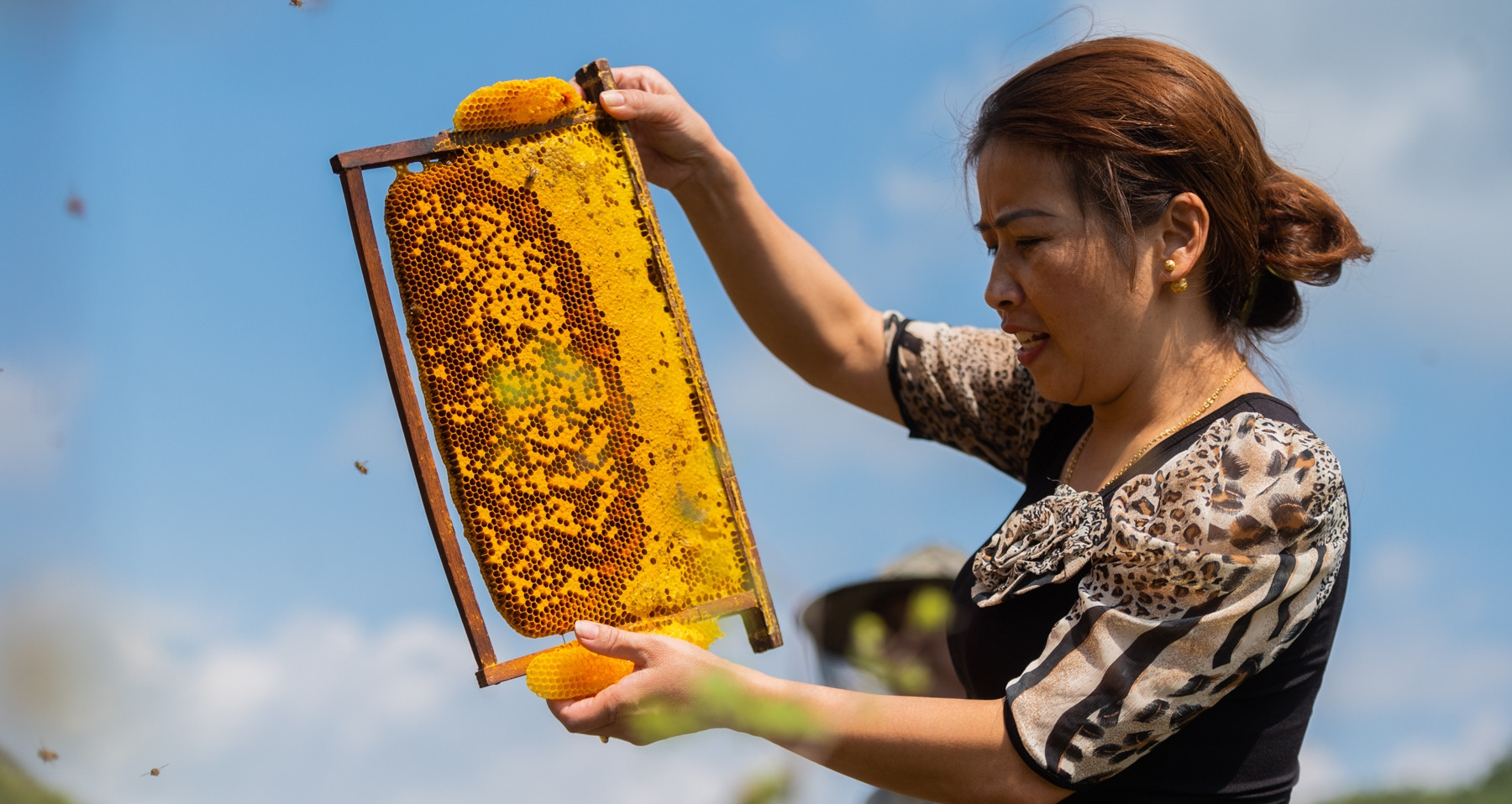 mật ong bạc hà hà giang độ sánh vừa phải