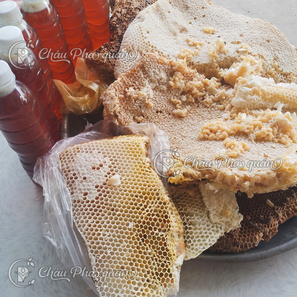 mật ong rừng nguyên chất không lắng cặn