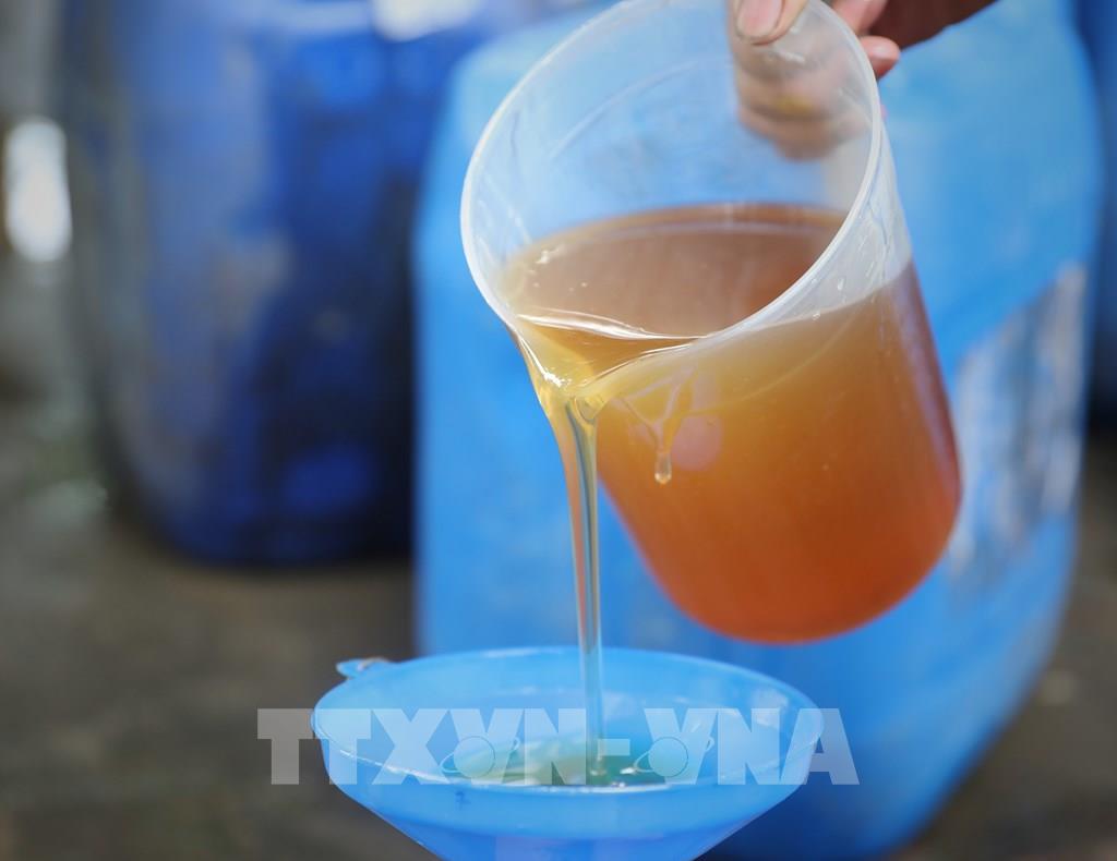 thử nghiệm mật ong rừng trên giấy thấm