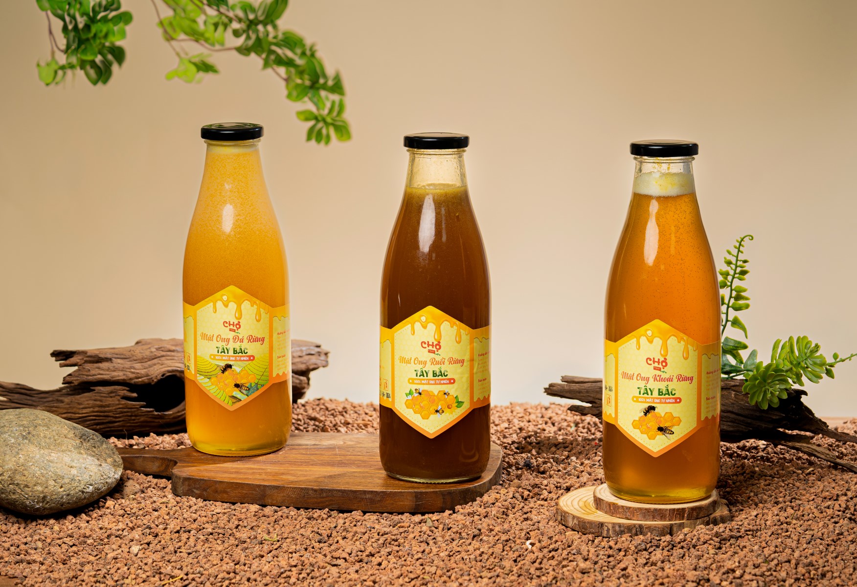 mật ong rừng nguyên chất enzyme vitamin khoáng chất