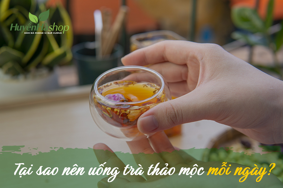trà thảo mộc pha mật ong hoa điều