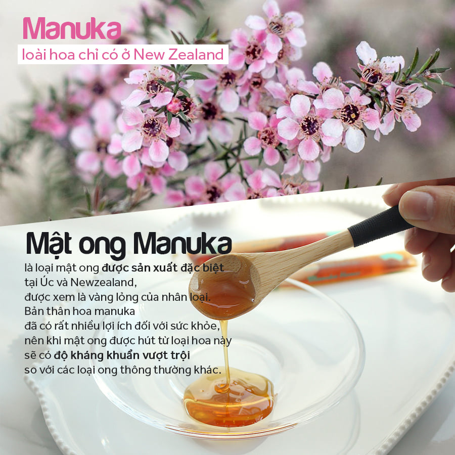 hoa Manuka ở New Zealand và hoa mật ong Việt Nam