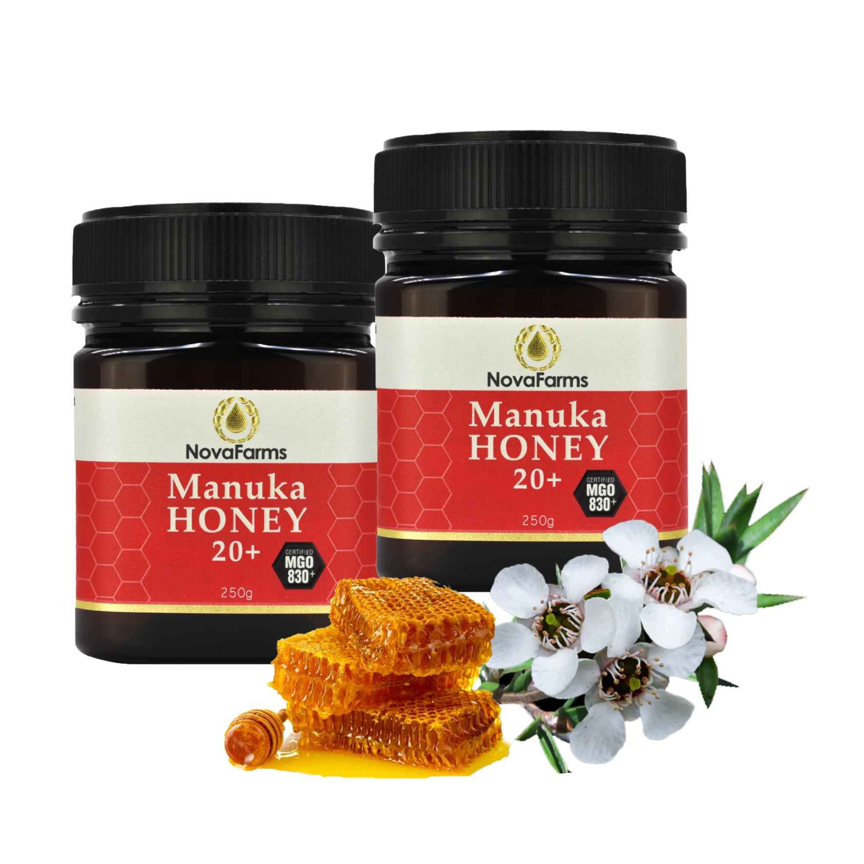 Mật ong Manuka ứng dụng y học