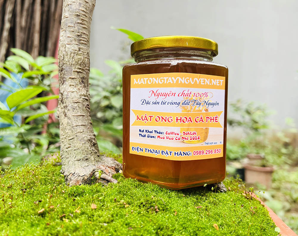 đặc sản mật ong hoa cà phê Tây Nguyên