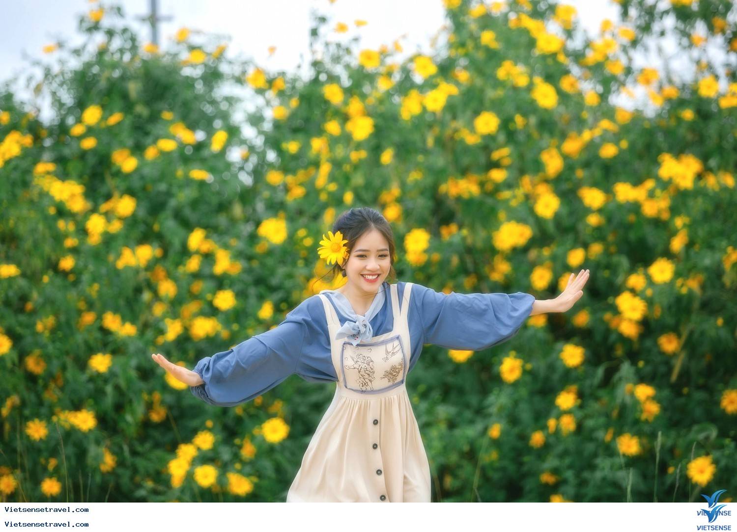 hoa keo Tây Nguyên