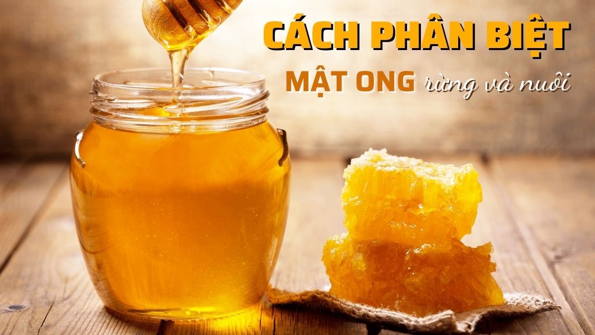 So sánh mật ong rừng nguyên chất và mật ong nuôi trong lọ thủy tinh, thể hiện rõ sự khác biệt về màu sắc, bọt khí và lớp váng