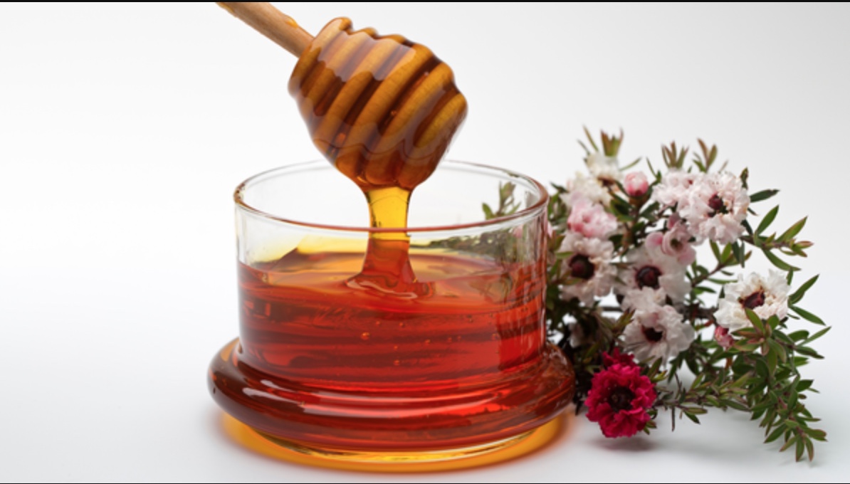 So sánh màu sắc và kết cấu giữa mật ong Manuka và mật ong hoa Việt Nam trong hũ thủy tinh