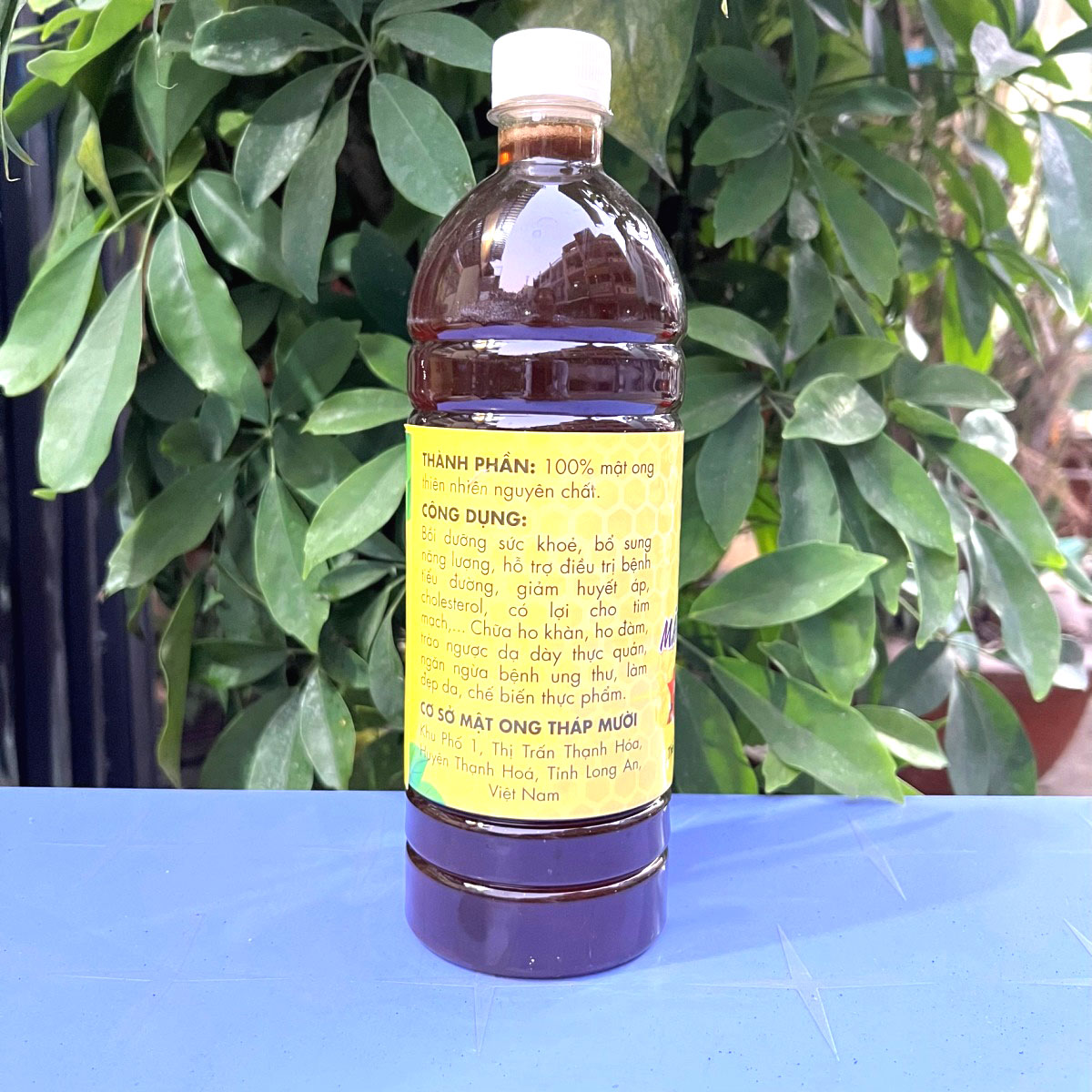 Mật ong hoa điều Bình Phước nguyên chất trong lọ thủy tinh đặt cạnh hoa điều tươi, thể hiện màu sắc vàng óng và sự tự nhiên của sản phẩm đặc trưng vùng Bình Phước.